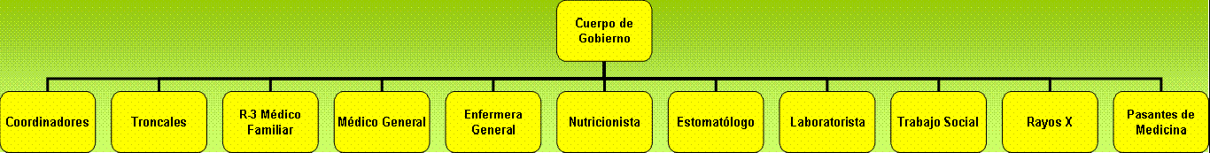 Organigrama